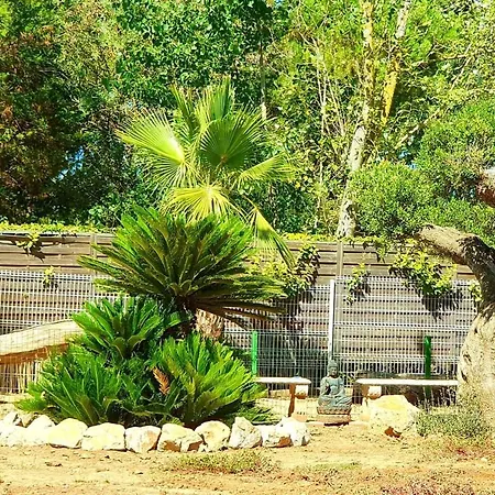 Будинок відпочинку Propriete De 3 Chambres Avec Jardin Clos A A 8 Km De La Агд