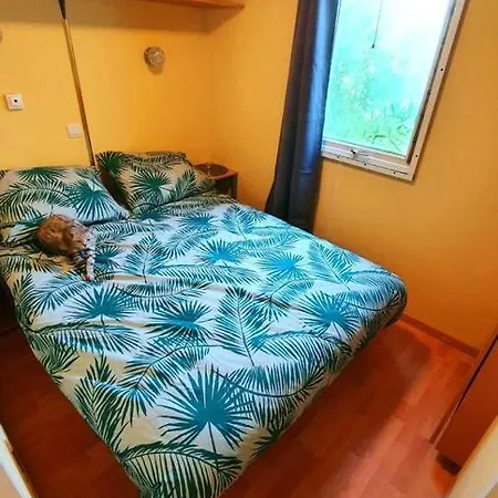 Будинок відпочинку Propriete De 3 Chambres Avec Jardin Clos A A 8 Km De La
