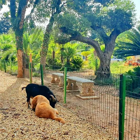 Propriete De 3 Chambres Avec Jardin Clos A A 8 Km De La *